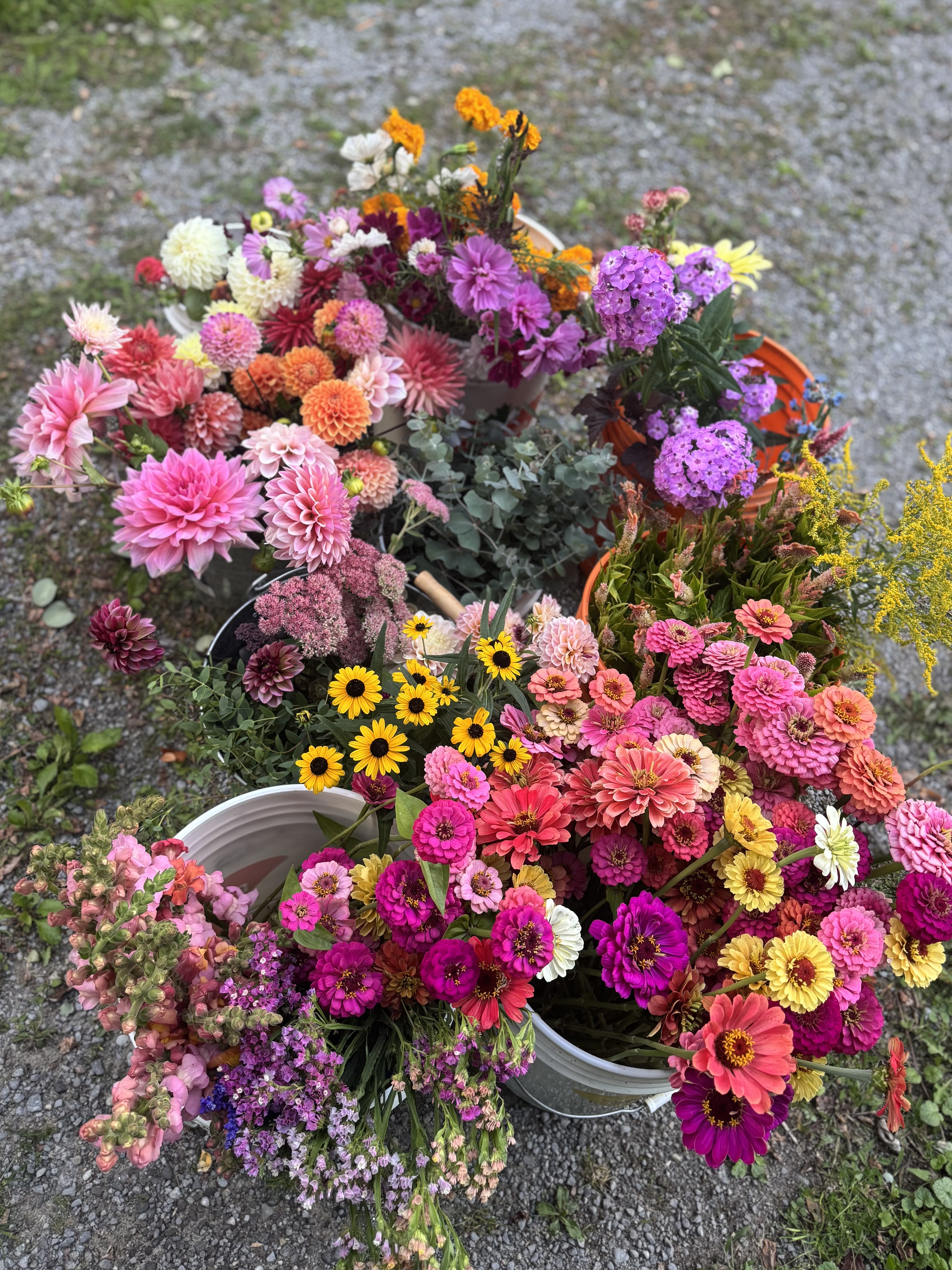 Bucket of Flowers