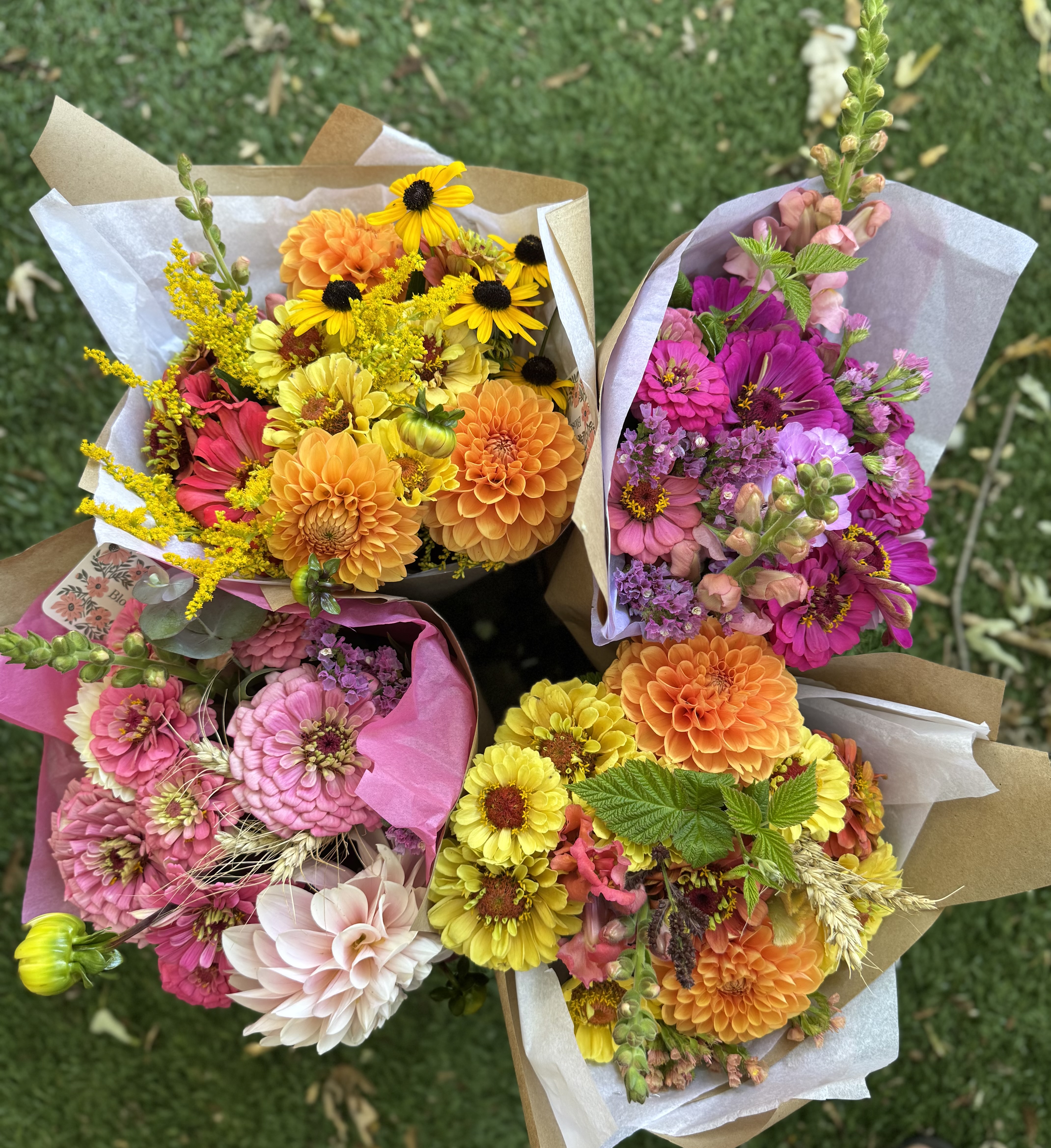 Fresh seasonal cut flowers for sale at local Northumberland County farmers market